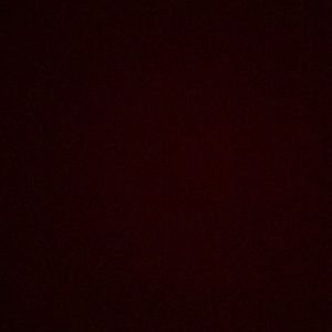 Meet your Posher, Ellen